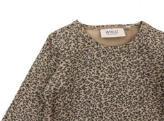 Wheat body tangled acorn